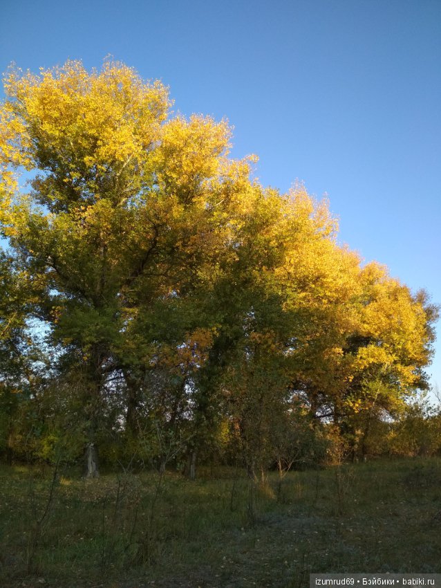 Осень...Осень — Болталка и разговоры обо всем: жизнь