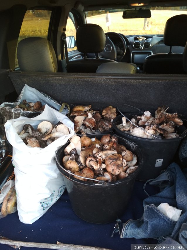 Осень...Осень — Болталка и разговоры обо всем: жизнь