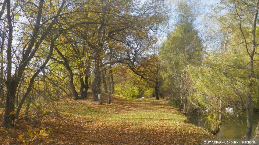 Осень...Осень — Болталка и разговоры обо всем: жизнь