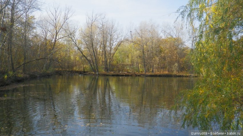 Осень...Осень — Болталка и разговоры обо всем: жизнь