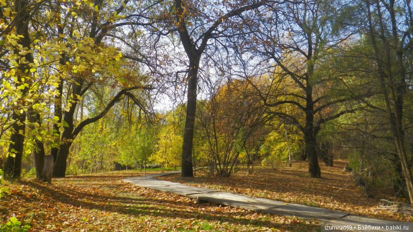 Осень...Осень — Болталка и разговоры обо всем: жизнь