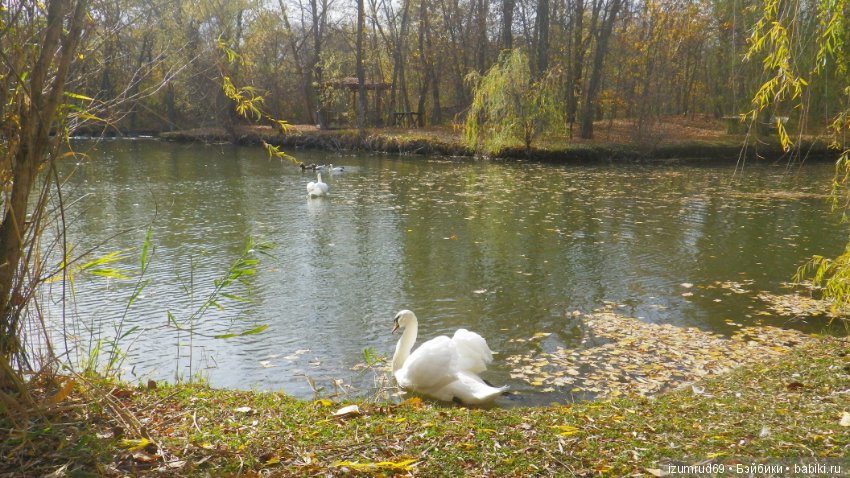 Осень...Осень — Болталка и разговоры обо всем: жизнь