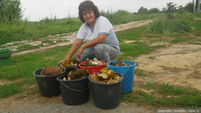 Осень...Осень — Болталка и разговоры обо всем: жизнь