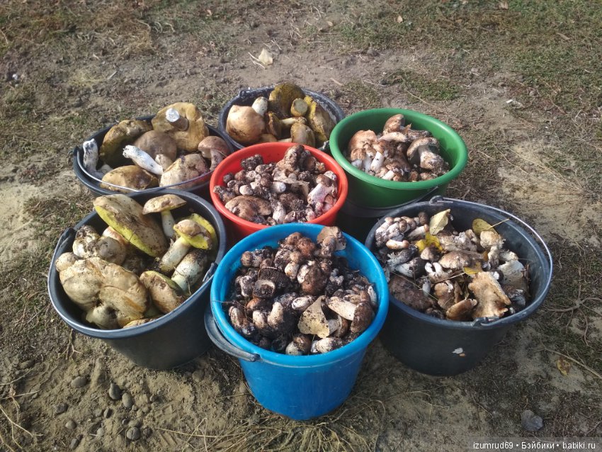 Осень...Осень — Болталка и разговоры обо всем: жизнь