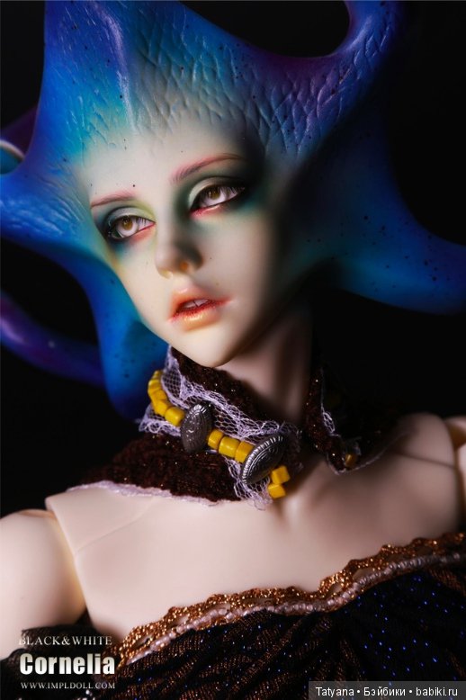 Impldoll продают CORNELIA WHITE&BLACK