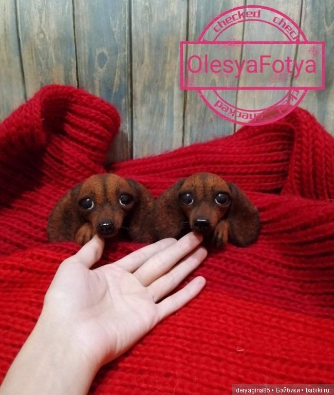 Брошки и микро чихуа — Валяные игрушки из шерсти: сухое валяние (фото 3)