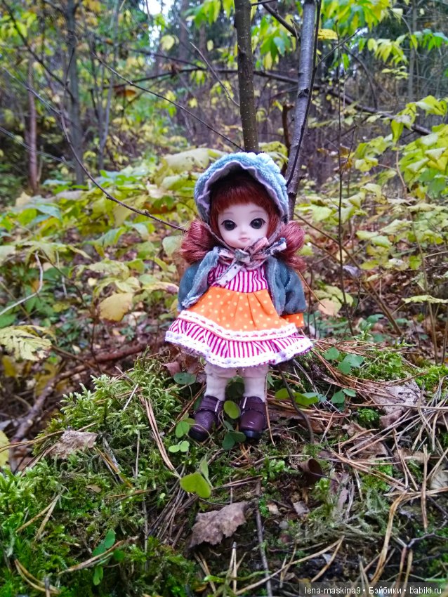 Карамелька в осеннем лесу (фото 8)