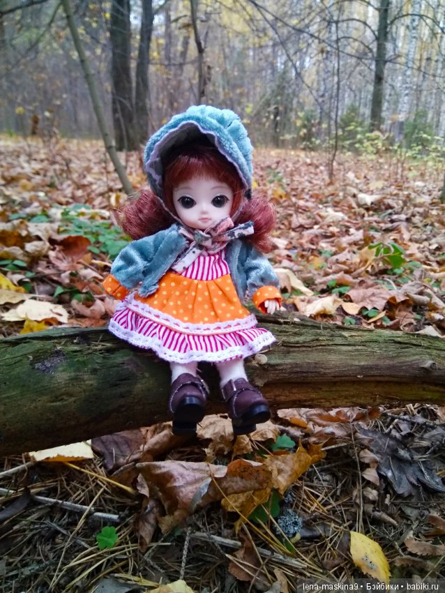 Карамелька в осеннем лесу