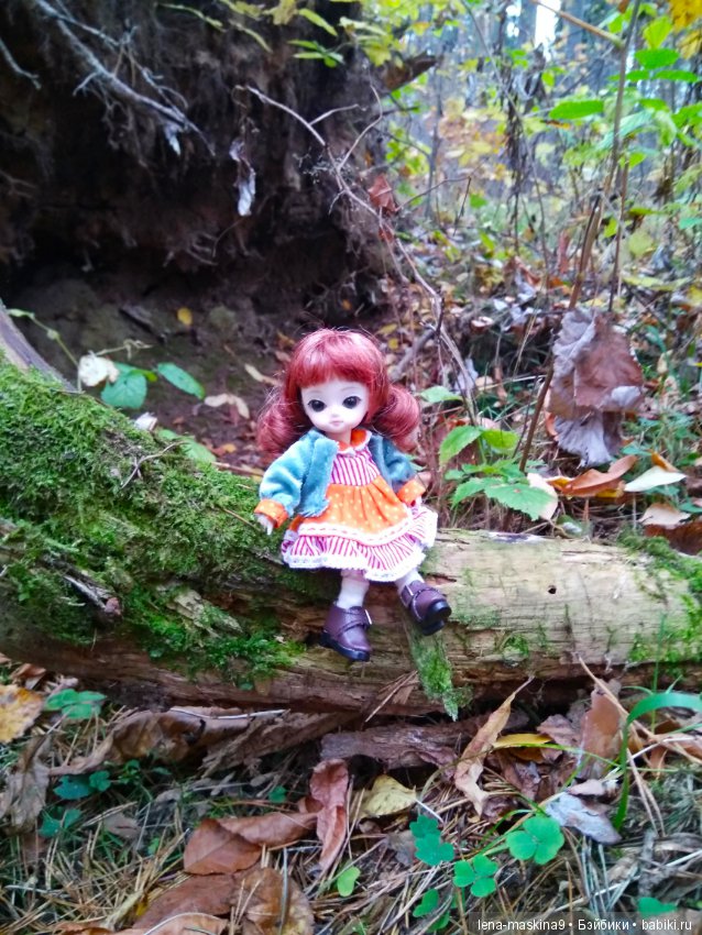 Карамелька в осеннем лесу