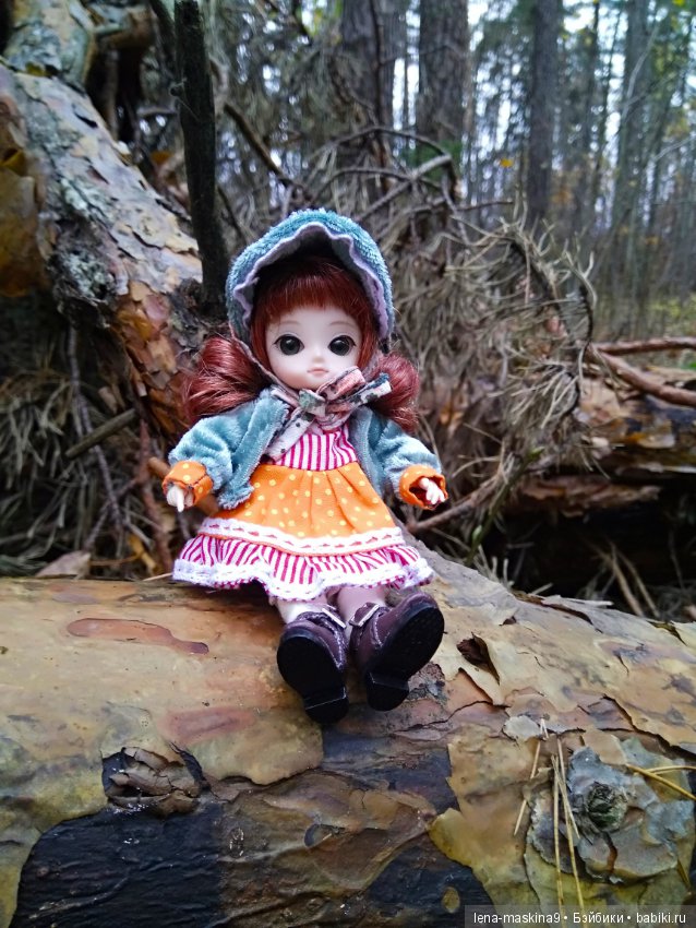 Карамелька в осеннем лесу