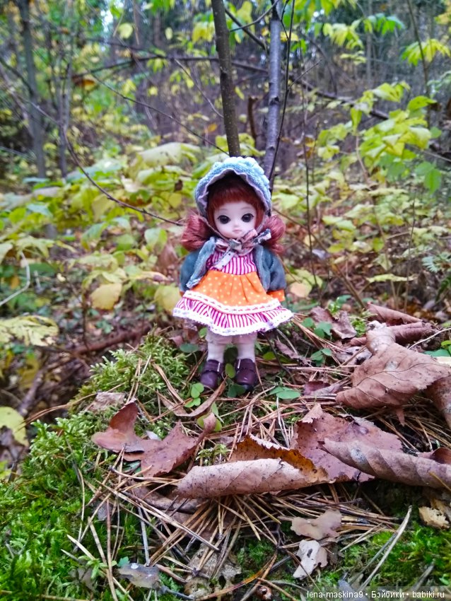 Карамелька в осеннем лесу