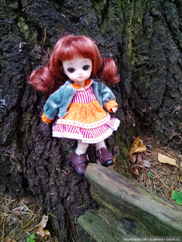 Карамелька в осеннем лесу (фото 3)