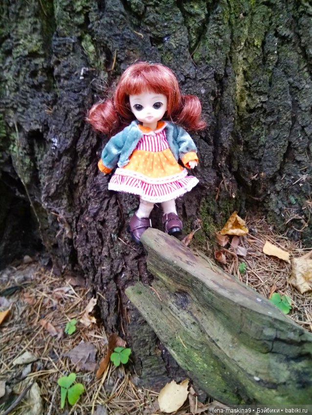 Карамелька в осеннем лесу (фото 7)