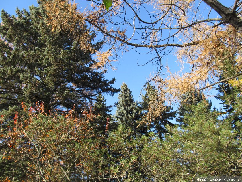 Прекрасная итальянка — Редкие антикварные куклы и реплики: воск (фото 8)