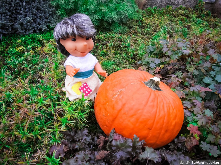 Время собирать тыквы — Коллекционные куклы разных авторов (Разное): редкие бренды (фото 2)