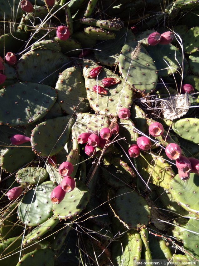 Море, Крым, Октябрь — Куклы Lori (Лори): Battat