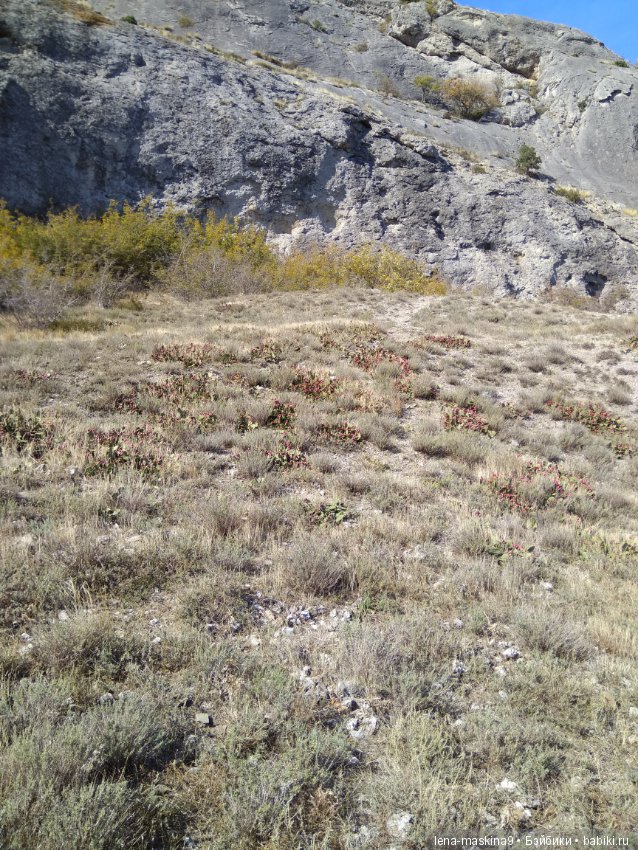 Море, Крым, Октябрь — Куклы Lori (Лори): Battat