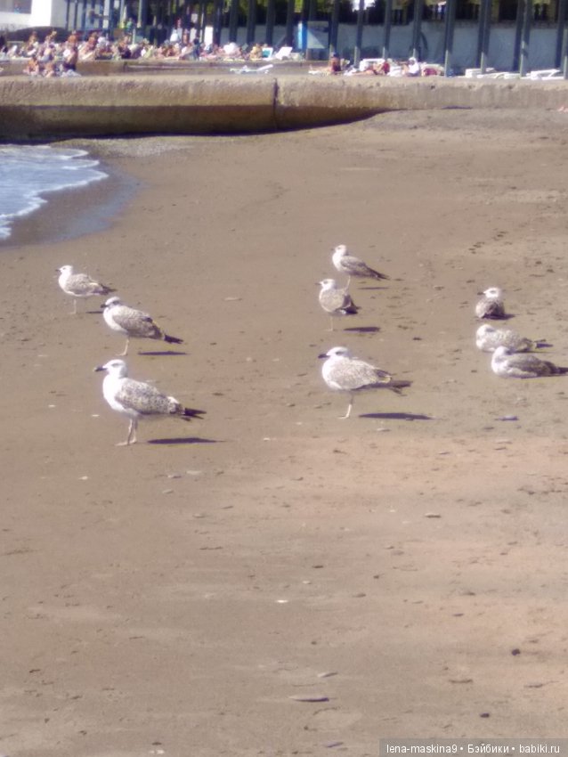 Море, Крым, Октябрь — Куклы Lori (Лори): Battat (фото 10)