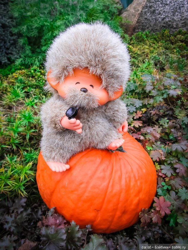 Время собирать тыквы — Коллекционные куклы разных авторов (Разное): редкие бренды