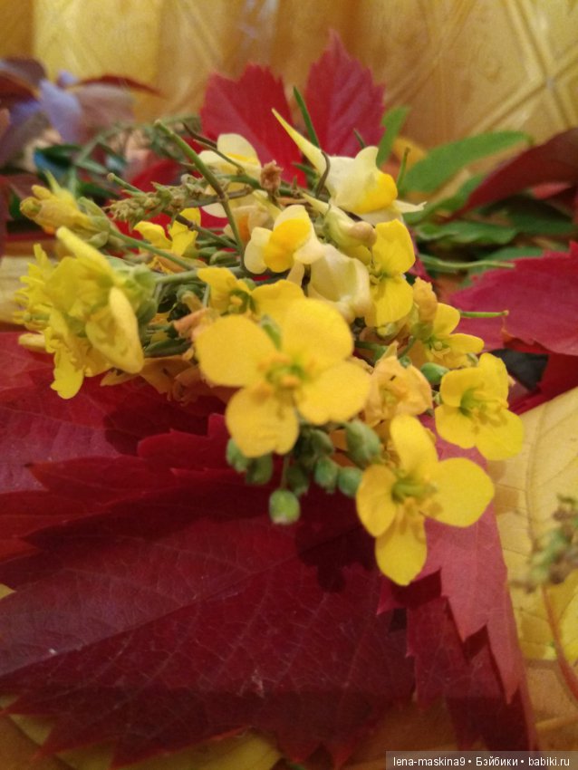 Море, Крым, Октябрь - продолжение