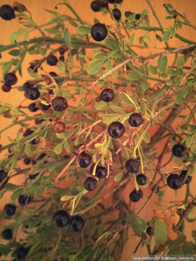 Море, Крым, Октябрь - продолжение