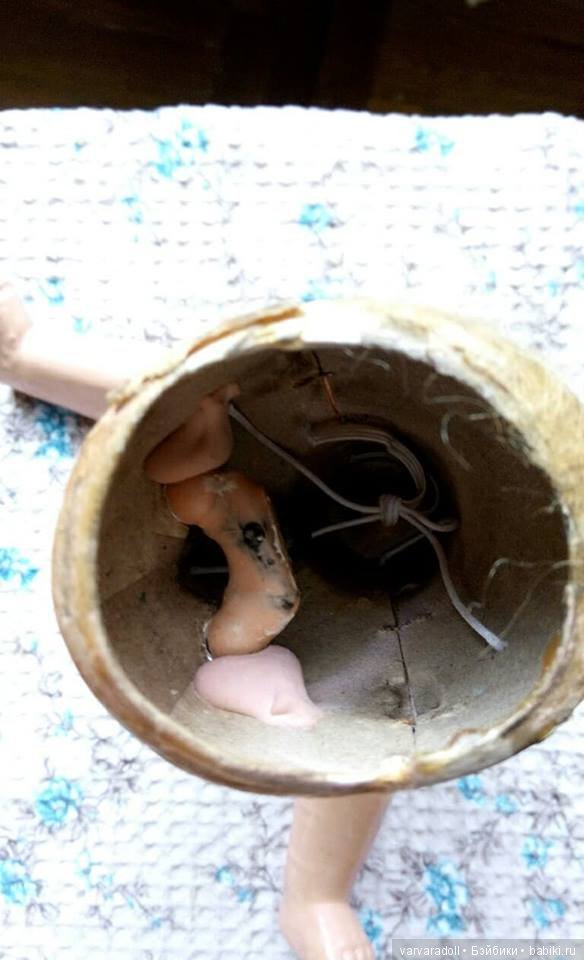 Помогите опознать куколку... Попытка №2 (фото 6)