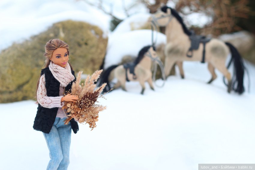 Зима в деревне — Разные шарнирные куклы (не БЖД): редкие