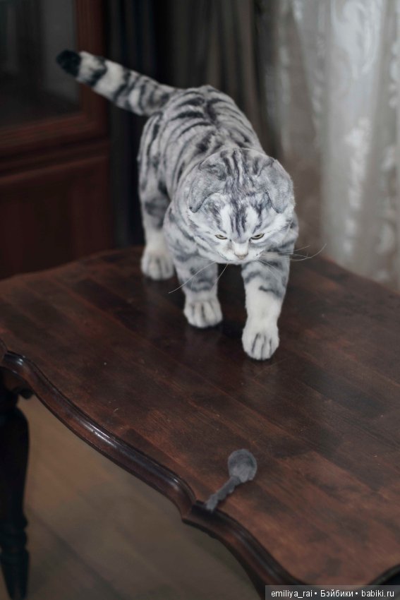 Шотландская вислоухая кошечка в стиле натюр (фото 3)