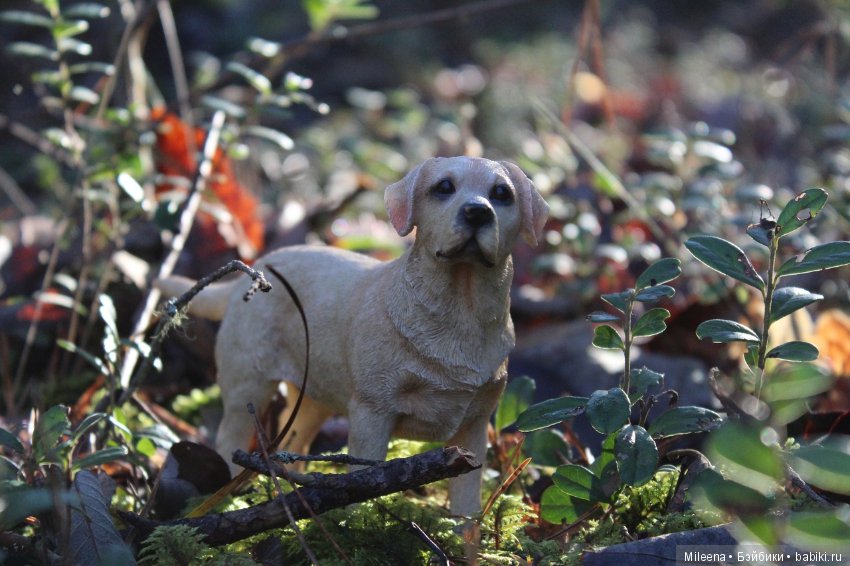 With love for animals — Интересные игрушки и фигурки (разное): редкие (фото 2)