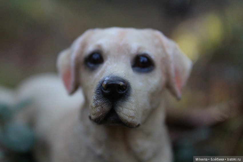 With love for animals — Интересные игрушки и фигурки (разное): редкие