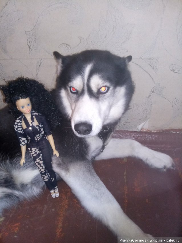 По мотивам фильма (или трудности сьемки домашних животных и кукол) (фото 6)