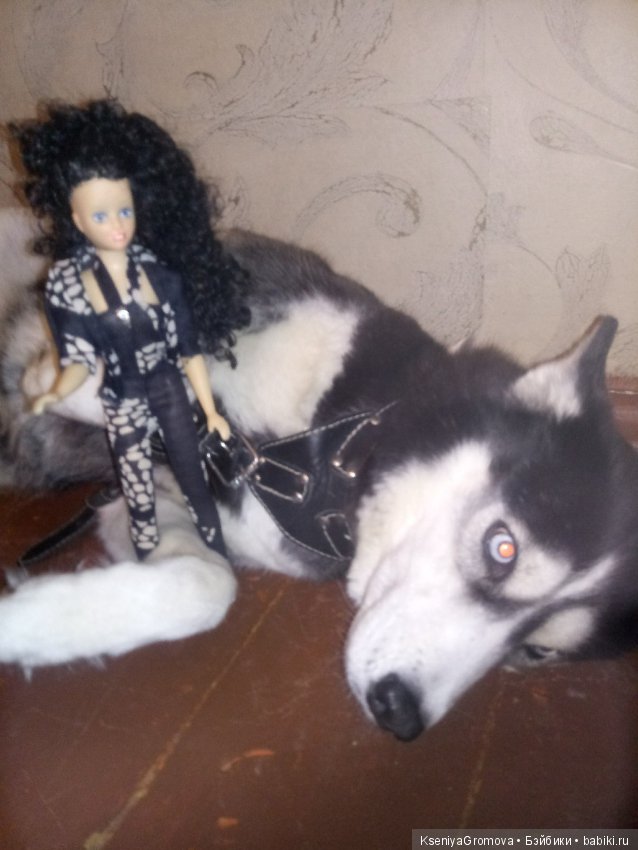 По мотивам фильма (или трудности сьемки домашних животных и кукол) (фото 3)