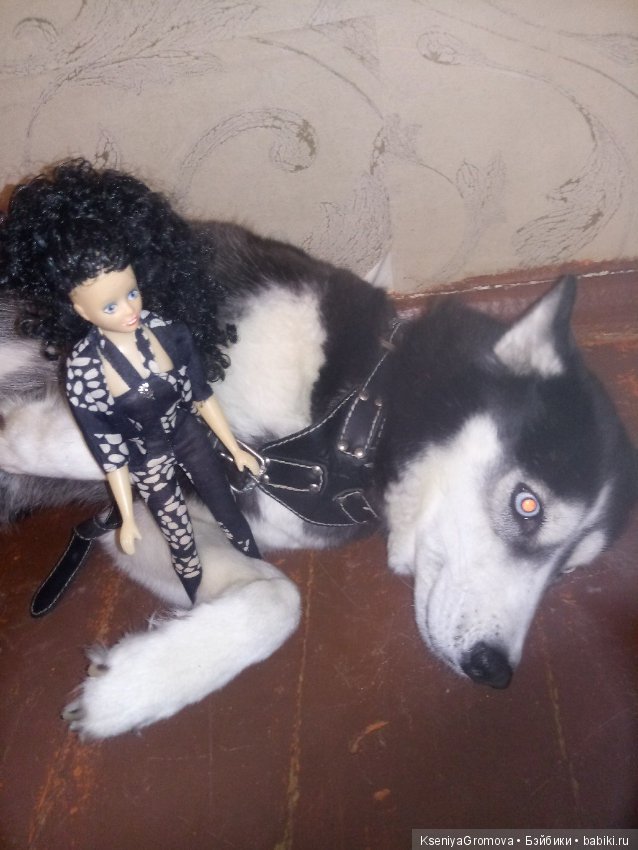 По мотивам фильма (или трудности сьемки домашних животных и кукол) (фото 4)
