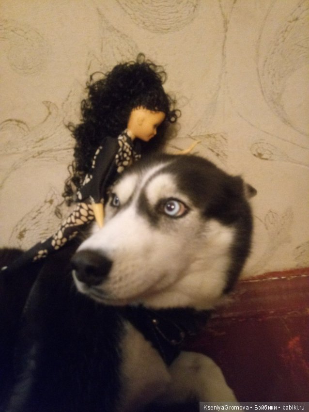 По мотивам фильма (или трудности сьемки домашних животных и кукол) (фото 2)