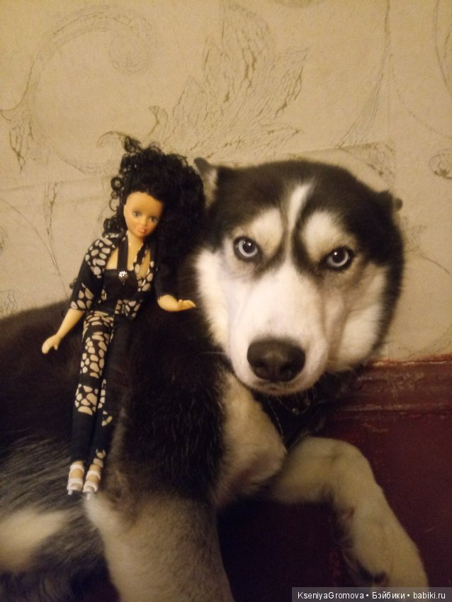 По мотивам фильма (или трудности сьемки домашних животных и кукол)