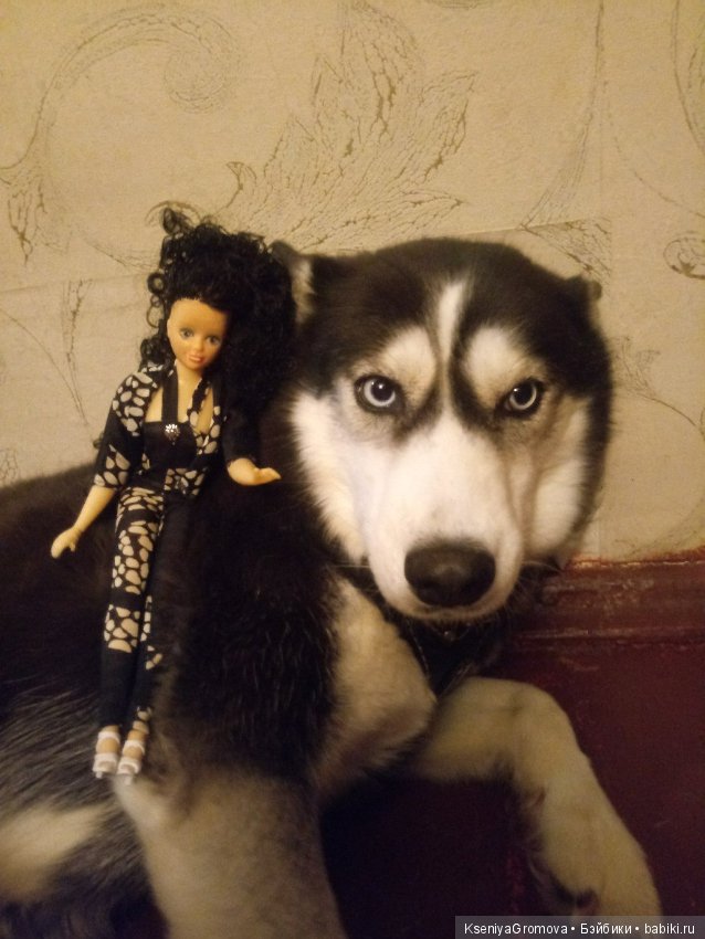 По мотивам фильма (или трудности сьемки домашних животных и кукол) (фото 5)