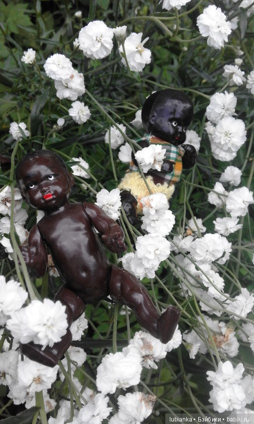 Лучше нету того цвета — Болталка и разговоры обо всем: жизнь