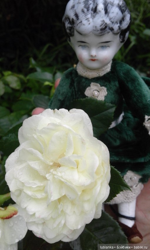 Лучше нету того цвета — Болталка и разговоры обо всем: жизнь (фото 5)