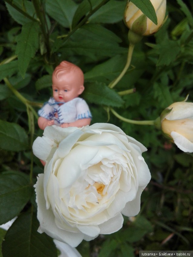 Лучше нету того цвета — Болталка и разговоры обо всем: жизнь