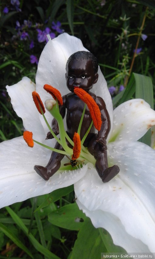 Лучше нету того цвета — Болталка и разговоры обо всем: жизнь (фото 9)