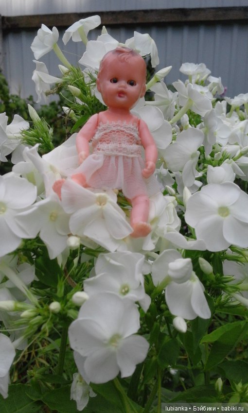 Лучше нету того цвета — Болталка и разговоры обо всем: жизнь