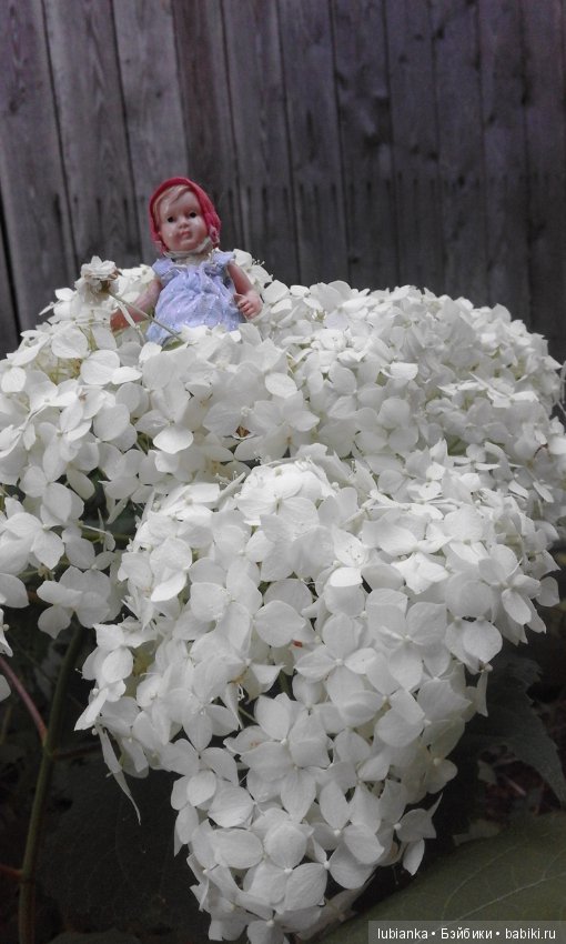 Лучше нету того цвета — Болталка и разговоры обо всем: жизнь (фото 10)