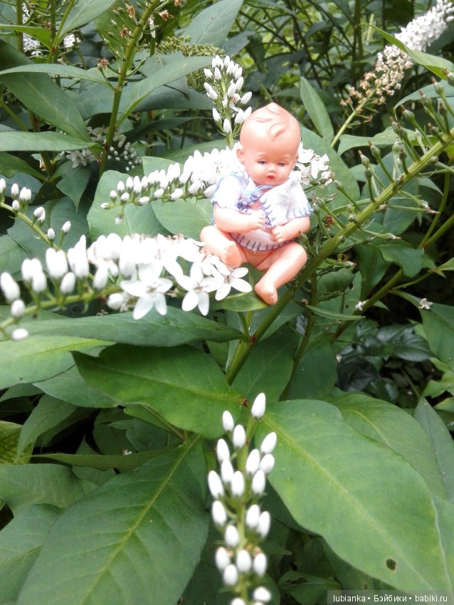 Лучше нету того цвета — Болталка и разговоры обо всем: жизнь