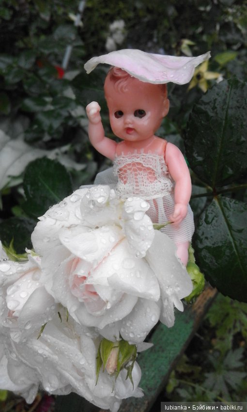 Лучше нету того цвета — Болталка и разговоры обо всем: жизнь