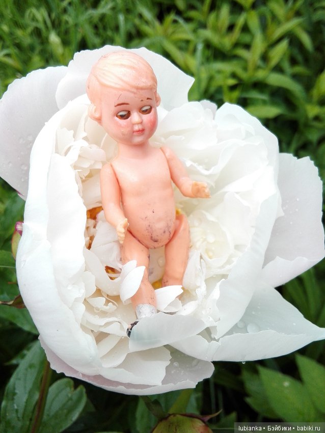 Лучше нету того цвета — Болталка и разговоры обо всем: жизнь