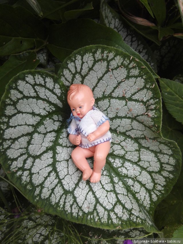 Лучше нету того цвета — Болталка и разговоры обо всем: жизнь