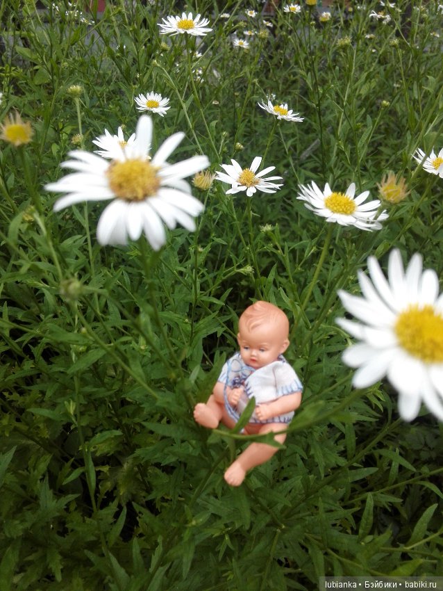 Лучше нету того цвета — Болталка и разговоры обо всем: жизнь