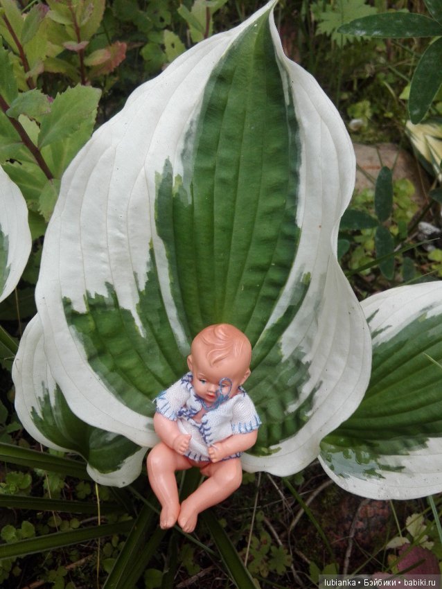 Лучше нету того цвета — Болталка и разговоры обо всем: жизнь