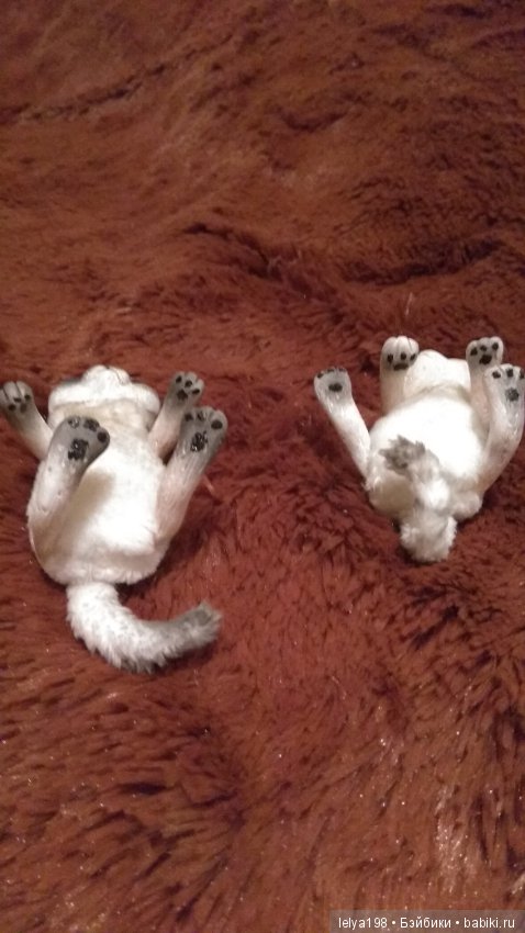 Котики и Кошечки — Авторские игрушки ручной работы: Тедди (фото 10)