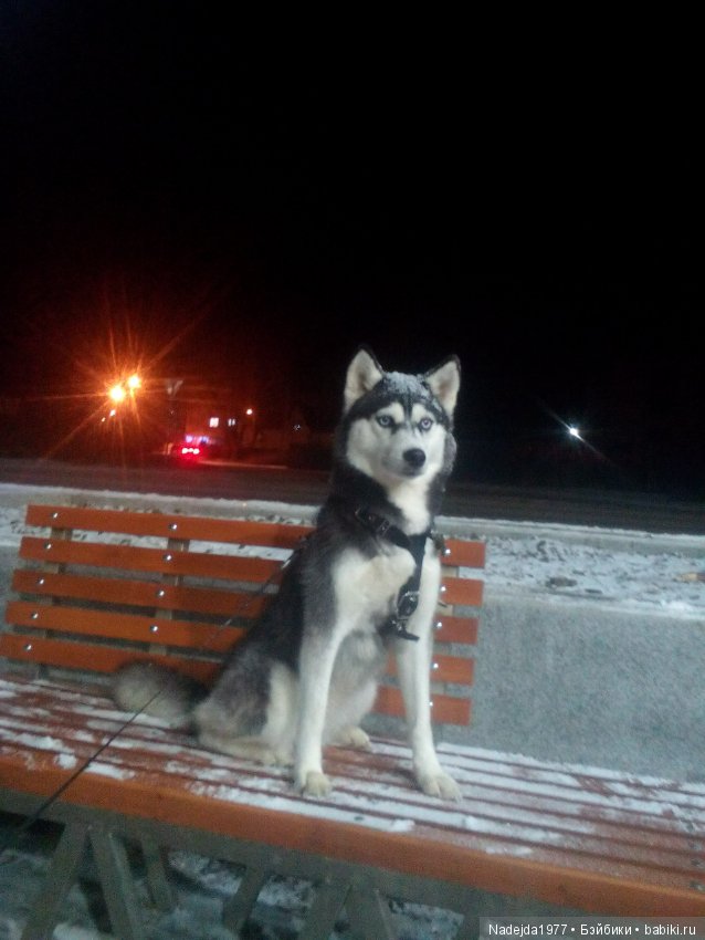 Сегодня ровно 2 года как я на Бейбиках